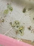 IMG_6753.jpeg