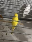 IMG_7723.jpeg