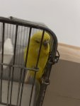 IMG_7722.jpeg