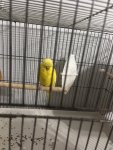 IMG_7726.jpeg