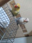 IMG_20260719_180439.jpg
