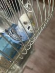 IMG_5707.jpeg