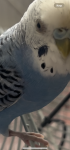 IMG_5713.png