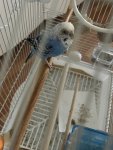 IMG_5717.jpeg