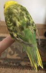 IMG_5860.jpeg