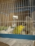 IMG_8445.jpeg