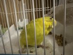 IMG_8446.jpeg