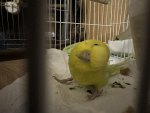 IMG_8447.jpeg