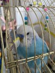 IMG_2363.jpeg