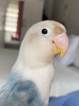 IMG_1370.jpeg