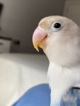IMG_1366.jpeg