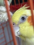IMG_5263.jpeg