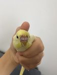 IMG_8085.jpeg
