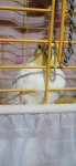 VID_20260727_205705.gif