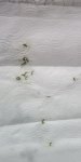 IMG_20260728_113438_0.jpg