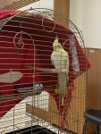 IMG_0932.jpeg