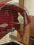 IMG_0931.jpeg