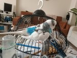 IMG_20260728_181607.jpg