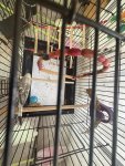 IMG_5388.jpeg