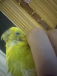 IMG_8493.jpeg