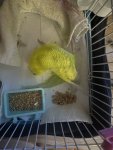 IMG_8497.jpeg