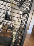 IMG_0900.jpeg