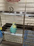 IMG_0255.jpeg
