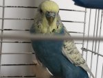 IMG_5182.jpeg