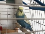 IMG_5180.jpeg