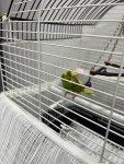 IMG_0337.jpeg