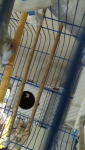 IMG_1115.png IMG_1115.png