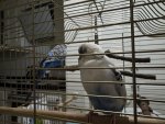 IMG_0361.jpeg
