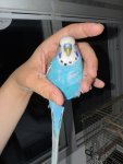 IMG_0360.jpeg