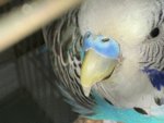 IMG_0355.jpeg
