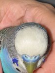 IMG_0356.jpeg