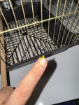 IMG_0364.jpeg