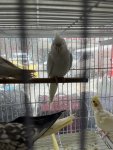 IMG_7619.jpeg