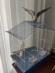 IMG_7635.jpeg