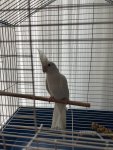 IMG_7637.jpeg