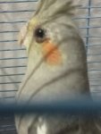 IMG20260801182250.jpg