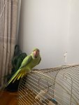 IMG-20260731-WA0007.jpg