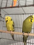 IMG_7755.jpeg