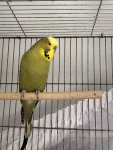 IMG_7754.jpeg