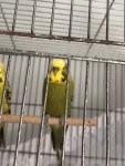 IMG_7752.jpeg
