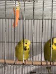 IMG_7751.jpeg