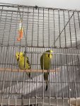 IMG_7750.jpeg