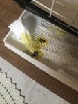 IMG_5233.jpeg