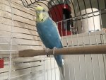 IMG_5237.jpeg