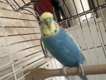 IMG_5238.jpeg