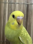 IMG_1332.jpeg